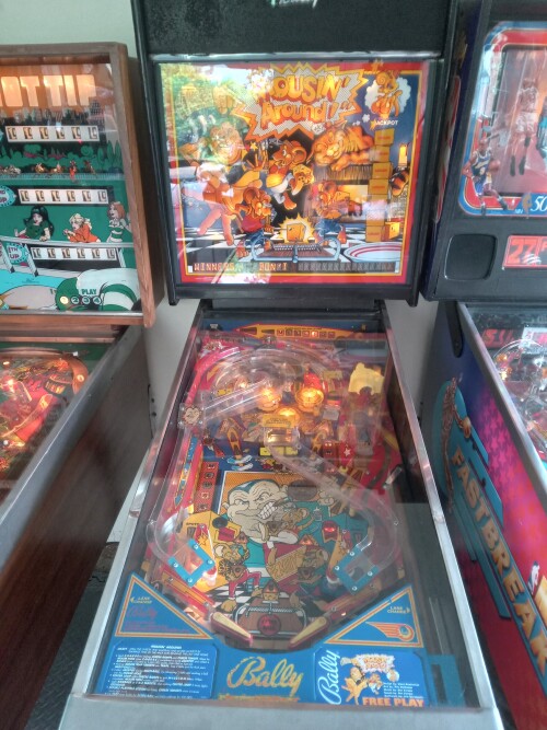 3-old-school-pinball-machines.-Richard-Blank-Costa-Rica-Collection.jpg