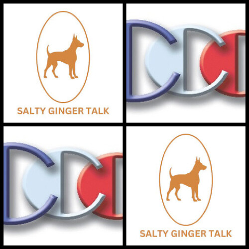 Salty-Ginger-Talk-Interview-guest-expert-Richard-Blank-Costa-Ricas-Call-Center.f2c6514961b11a24.jpg